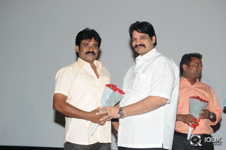 Cut-Chesthe-Movie-Audio-Launch